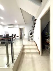 Wellington Park (D20), Terrace #554129811